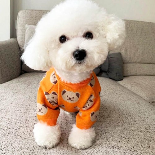 Sweterek dla psa w misie Teddy Bear Pomarańczowy Rozmiar S 