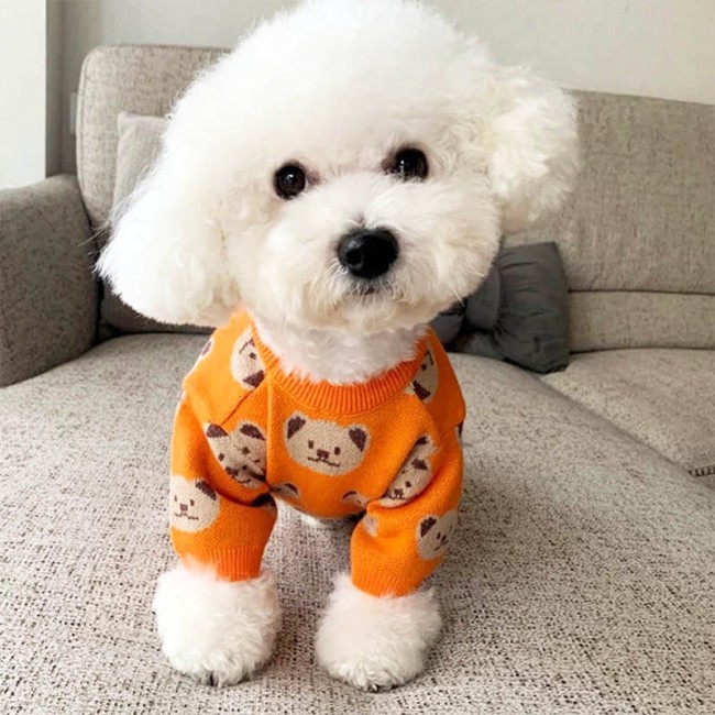 Sweterek dla psa w misie Teddy Bear Pomarańczowy Rozmiar S 