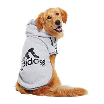 bluza dresowa z kapturem dla psa