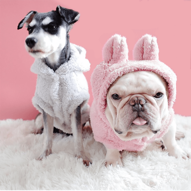 bluzy futerkowe psy.png