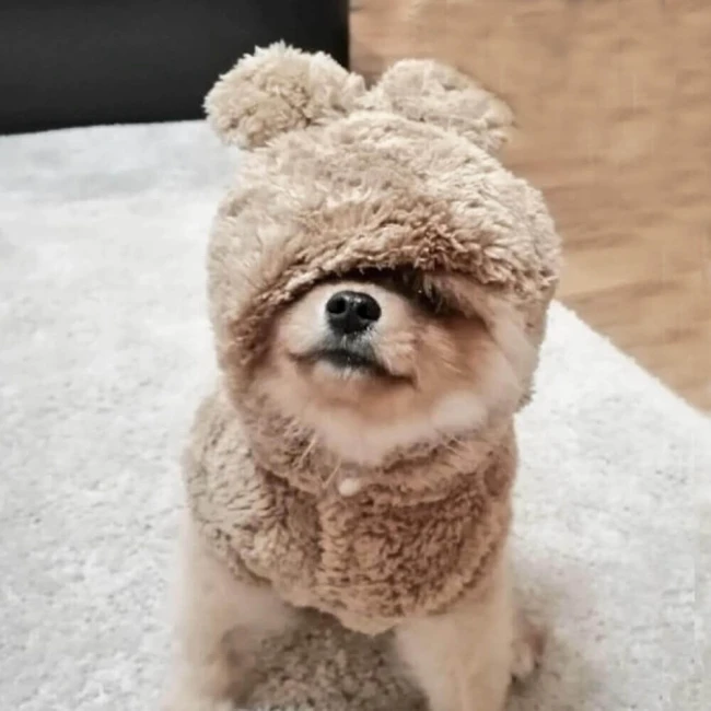 misiowa bluza beige-2-2.jpg