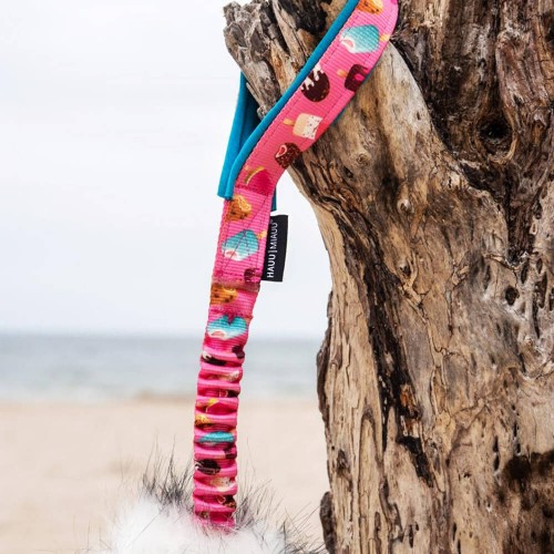 szarpak w lody dla psa