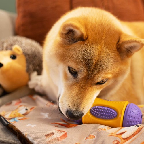 snuffy-snack-zabawka-na-przysmaki -dla-psa.jpg