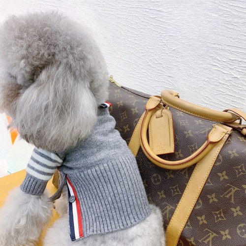 Szary sweterek dla psa Tommy.jpg