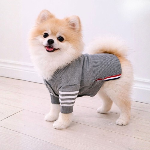 szary sweterek dla psa Tommy.jpg