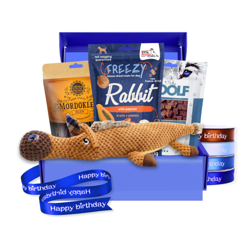 box-urodzinowy-dla-psa-konik-35.png