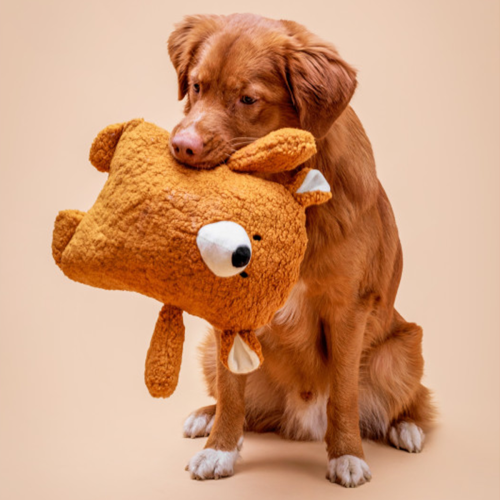 buba-mis-pluszak-z-piszczalka-dla-psa.png