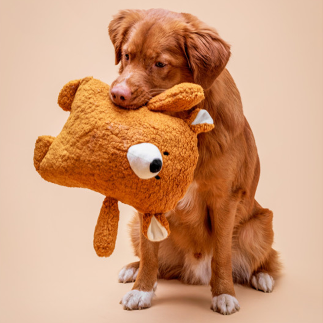buba-mis-pluszak-z-piszczalka-dla-psa.png