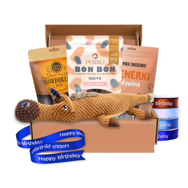 box-urodzinowy-dla-psa-pluszowy-konik-48.png