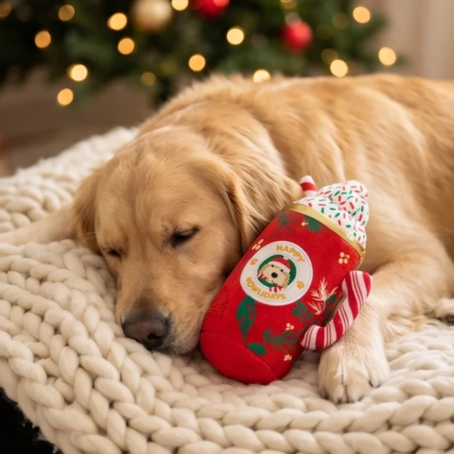 haute-diggity-dog-swiateczny-kubek-dla-psa-2.png