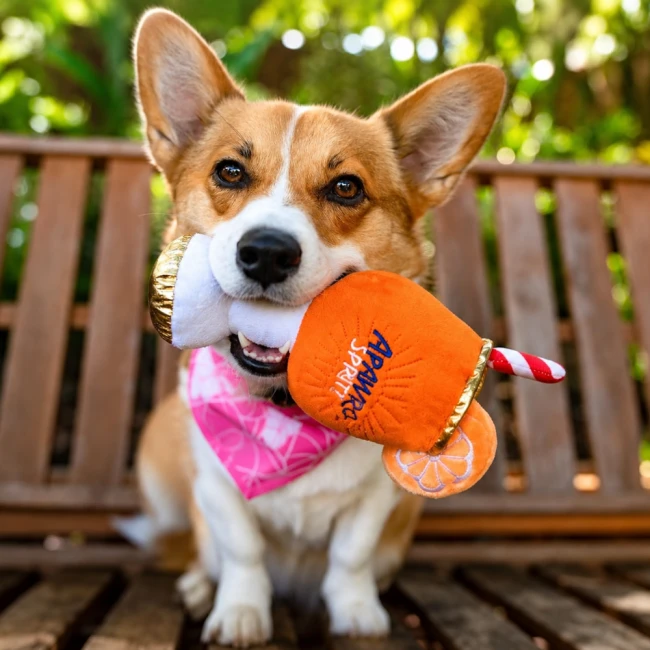 haute-diggity-dog-apawrol-dla-psa-2.png