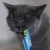 wow-cat-patyczki-dla-kota-z-lososia.webp