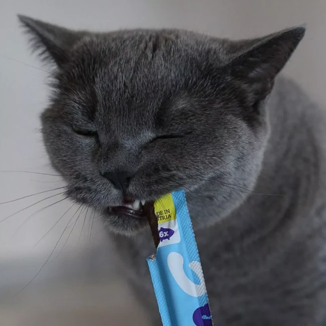 wow-cat-patyczki-dla-kota-z-lososia.webp