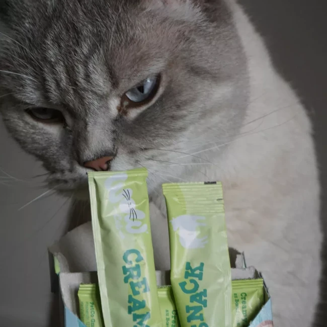wow-cat-creamy-snack-rind-kremowa-przekaska-dla-kota-wolowina.webp