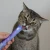 wow-cat-creamy-snack-rind-kremowa-przekaska-dla-kota-losos.webp