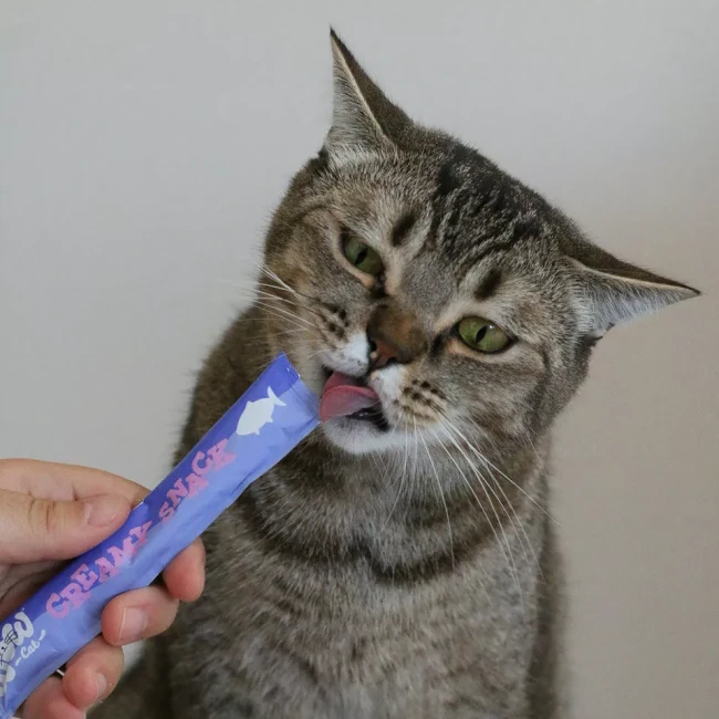 wow-cat-creamy-snack-rind-kremowa-przekaska-dla-kota-losos.webp