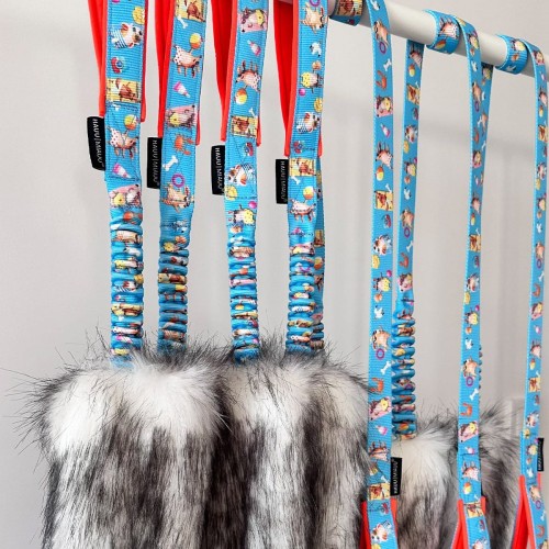 Szarpak dla psa w pieski na plaży