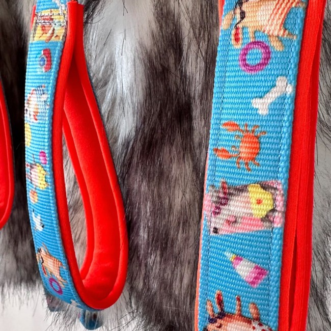 Szarpak z amortyzatorem psy na plaży