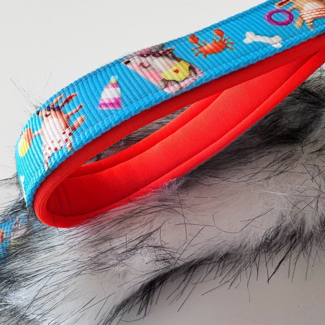 Niebieski szarpak w psy