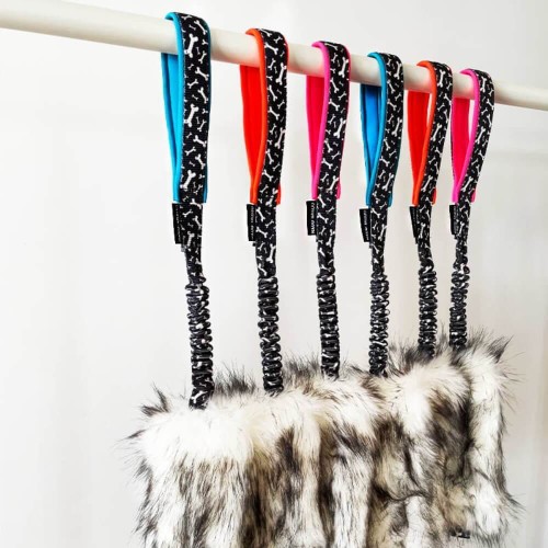 Szarpak dla psa z amortyzatorem.